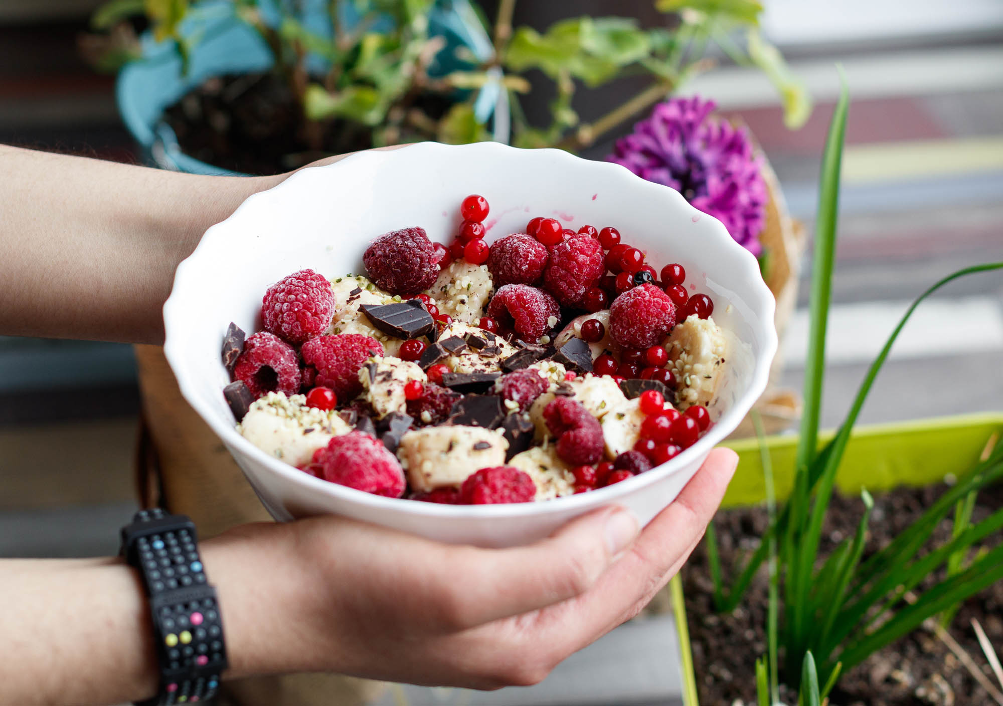 Banana Berry Raw Vegan Dessert